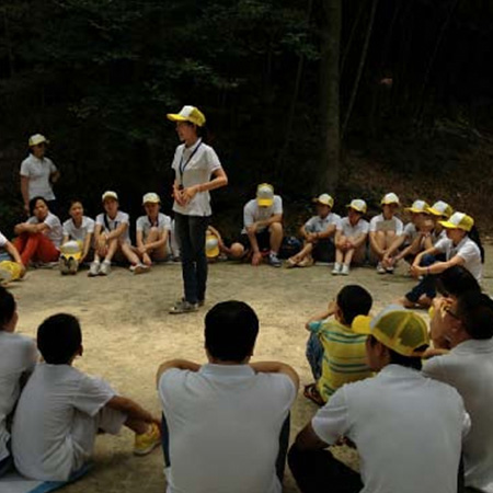 Novos Produtos Energéticos