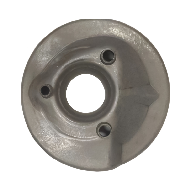 Disco de mola 3100070